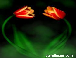 Ramazan-ı Şerif Ayı Hayırlı Ameller