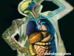 Ayakta Su İçmenin Zararları