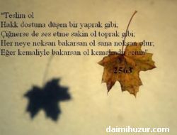 Mürşidin Manevi Terbiyemizdeki Yeri