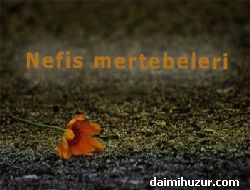 NEFS VE MERTEBELER