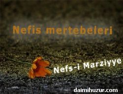 6. Nefs-i Marziyye