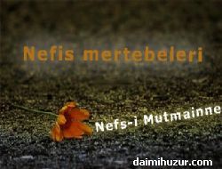 4. Nefs-i Mutmainne