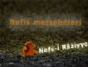 5. Nefs-i Râziyye